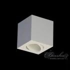 Светильник Накладной Поворотный Diasha 106B 106B-2-S-WH