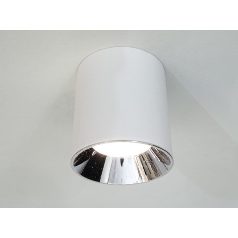 Накладний світильник точковий LED Diasha 116R-110-WH+SL, 15W, 825lm, білий, для коридору, вітальні, спальні, кухні