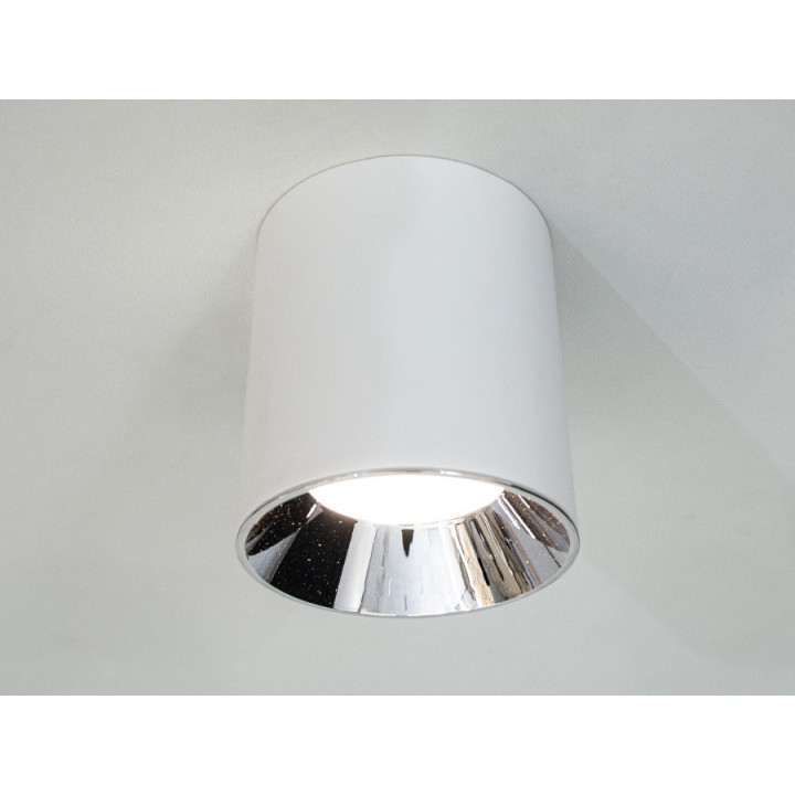 Накладний світильник точковий LED Diasha 116R-110-WH+SL, 15W, 825lm, білий, для коридору, вітальні, спальні, кухні Накладний світильник точковий LED Diasha 116R-110-WH+SL, 15W, 825lm, білий, для коридору, вітальні, спальні, кухні