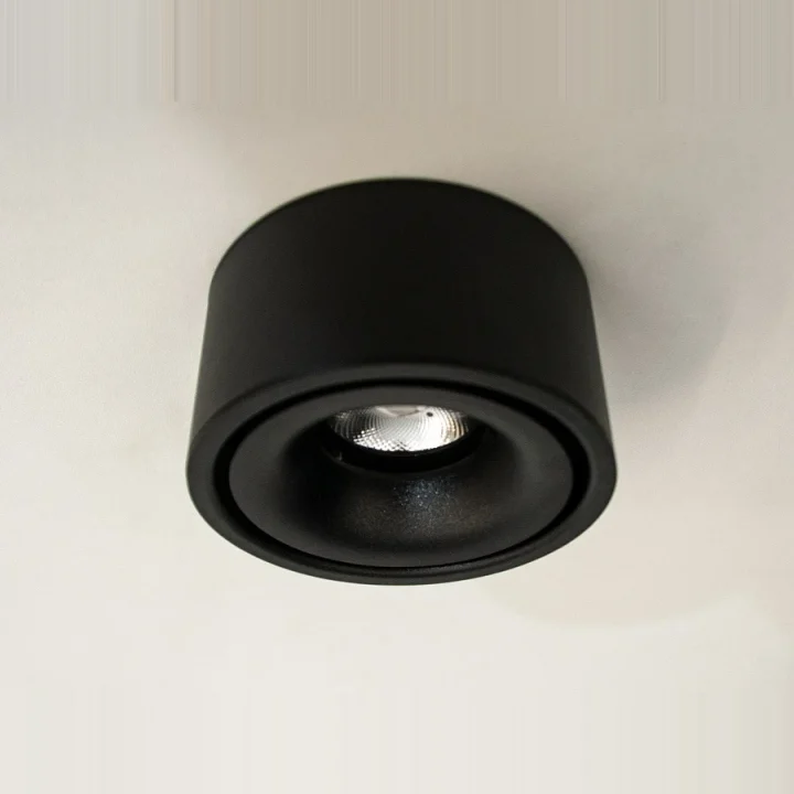 Светильник Накладной Точечный Led Diasha 117Y 117Y-BK