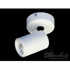 Накладний точковий світильник LED Diasha 130A-WH, 12W, 660 лм, IP20, для коридору, спальні, кухні, кафе Накладний точковий світильник LED Diasha 130A-WH, 12W, 660 лм, IP20, для коридору, спальні, кухні, кафе