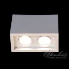 Накладной Led Светильник Diasha 136F 136F-2-WH