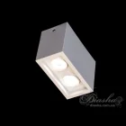 Накладной Led Светильник Diasha 136F 136F-2-WH