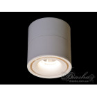 Світильник накладний LED Diasha 149A-WH COB, 12W, 660 лм, IP20, для кухні, ванної, коридору