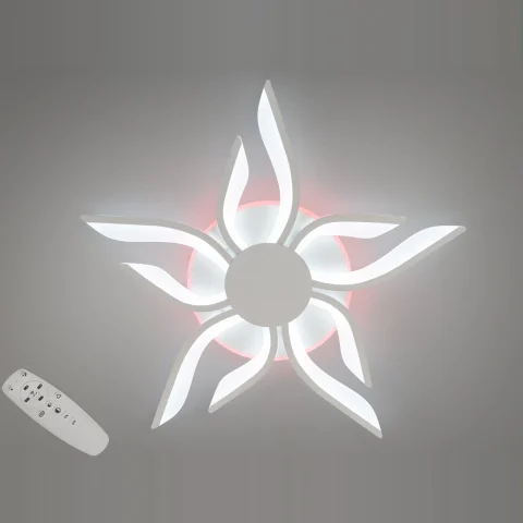 Потолочный светильник LED Diasha 2482/5+5WH, 82W, 3200K-6500K, белый металл, современный стиль, с пультом Потолочный светильник LED Diasha 2482/5+5WH, 82W, 3200K-6500K, белый металл, современный стиль, с пультом