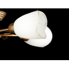 Люстра стельова Splendid Ray L88497/5, E14, 5 ламп, 26 см, бронза, білий, сучасний стиль Люстра стельова Splendid Ray L88497/5, E14, 5 ламп, 26 см, бронза, білий, сучасний стиль