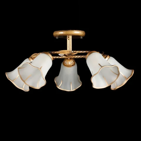 Люстра Splendid Ray L82326/5 E27, 5 ламп, 65 см, бронза/белый