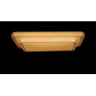 Люстра стельова LED Splendid Ray L8208B/48W*2, 48W, білий, регульована яскравість, сучасний стиль Люстра стельова LED Splendid Ray L8208B/48W*2, 48W, білий, регульована яскравість, сучасний стиль
