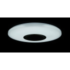 Люстра стельова LED Splendid Ray LY8339/24W*2, 48W, білий, 40 см, з пультом і Bluetooth, сучасний стиль для дому Люстра стельова LED Splendid Ray LY8339/24W*2, 48W, білий, 40 см, з пультом і Bluetooth, сучасний стиль для дому