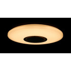 Люстра стельова LED Splendid Ray LY8339/24W*2, 48W, білий, 40 см, з пультом і Bluetooth, сучасний стиль для дому Люстра стельова LED Splendid Ray LY8339/24W*2, 48W, білий, 40 см, з пультом і Bluetooth, сучасний стиль для дому