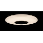 Люстра стельова LED Splendid Ray LY8339/24W*2, 48W, білий, 40 см, з пультом і Bluetooth, сучасний стиль для дому Люстра стельова LED Splendid Ray LY8339/24W*2, 48W, білий, 40 см, з пультом і Bluetooth, сучасний стиль для дому