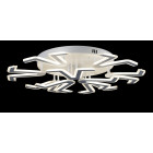 Люстра стельова LED Splendid Ray LK55/9, 360W, білий, сучасний стиль з пультом Люстра стельова LED Splendid Ray LK55/9, 360W, білий, сучасний стиль з пультом