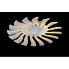 Люстра стельова LED Splendid Ray LK39264/16 SMALL, 96W, білий, 16 ламп, 55 см, сучасний стиль Люстра стельова LED Splendid Ray LK39264/16 SMALL, 96W, білий, 16 ламп, 55 см, сучасний стиль