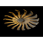 Люстра стельова LED Splendid Ray LK39264/16, 16W, білий, сучасний стиль з пультом Люстра стельова LED Splendid Ray LK39264/16, 16W, білий, сучасний стиль з пультом