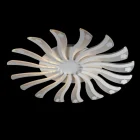 Потолочный Светильник Led Splendid Ray Lk39264/16 30389999