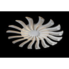 Люстра стельова LED Splendid Ray LK39264/16, 16W, білий, сучасний стиль з пультом Люстра стельова LED Splendid Ray LK39264/16, 16W, білий, сучасний стиль з пультом