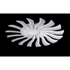 Люстра стельова LED Splendid Ray LK39265/16 BIG, 160W, білий, сучасний стиль, з пультом, 80 см