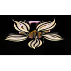 Люстра стельова LED Splendid Ray LK23/5, 120W, чорна/біла, сучасний стиль, з пультом, димер Люстра стельова LED Splendid Ray LK23/5, 120W, чорна/біла, сучасний стиль, з пультом, димер