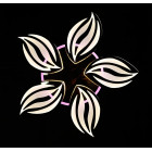 Люстра стельова LED Splendid Ray LK23/6, 160W, білий, хром, сучасний стиль з пультом, димер, 62см Люстра стельова LED Splendid Ray LK23/6, 160W, білий, хром, сучасний стиль з пультом, димер, 62см