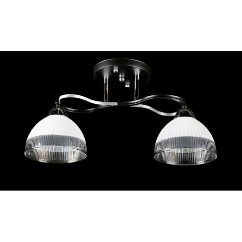 Люстра стельова Splendid Ray L8258/2, 2xE27, чорний/хром, висота 23 см, діаметр 45 см, сучасний стиль для дому