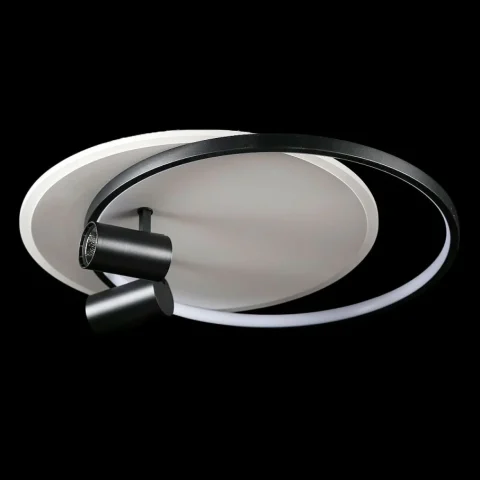 Потолочная люстра LED Splendid Ray L2451/480/2+2 (4 лампы), 56 см, черный и белый, современный стиль, с пультом, диммер Потолочная люстра LED Splendid Ray L2451/480/2+2 (4 лампы), 56 см, черный и белый, современный стиль, с пультом, диммер