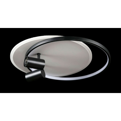 Люстра стельова LED Splendid Ray L2451/480/2+2, 4 лампи, 56 см, чорний та білий, сучасний стиль, з пультом, димер