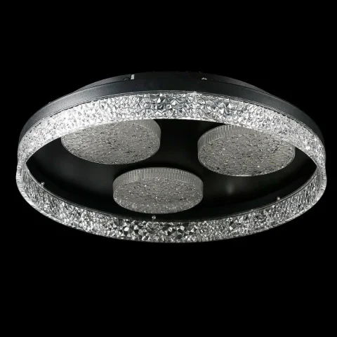 Потолочная люстра LED Splendid Ray L2973/470/3+1 (4 лампы), 220В, черный металл/акрил, с пультом, диммер Потолочная люстра LED Splendid Ray L2973/470/3+1 (4 лампы), 220В, черный металл/акрил, с пультом, диммер