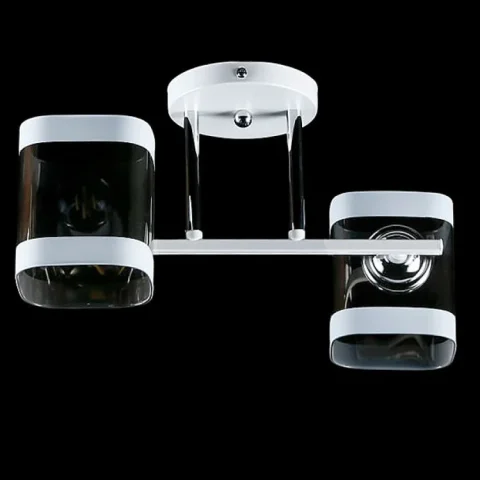 Люстра стельова Splendid Ray LGH60188/2, 2xE27, хром, білий