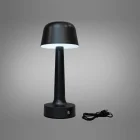 Світильник Настільний Led Diasha 50819 50819-1GR