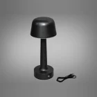 Світильник Настільний Led Diasha 50819 50819-1GR