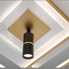 Люстра 5533WH+G dimmer