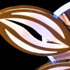 Люстра 8092/5G LED 3color dimm