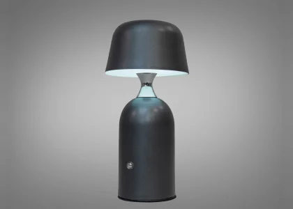Декоративні настільні лампи (54)