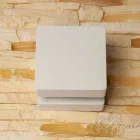Фасадный Светильник Led Diasha Dfb DFB-5001-C-WH