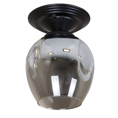 Точковий накладний світильник Levistella 756XPR0231F-1 BK+BK