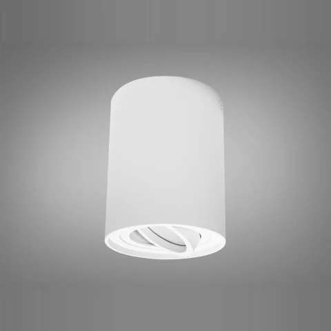 Світильник накладний поворотний Diasha QXL-1724-R-WH MR16 G5.3, 40W, білий