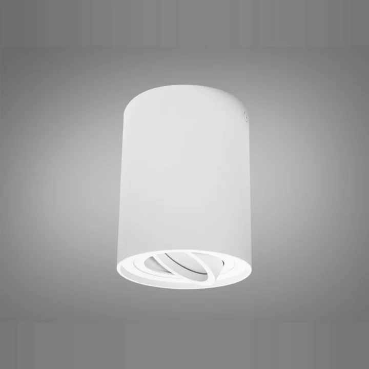 Светильник Накладной Поворотный Diasha Qxl QXL-1724-R-WH