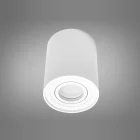 Светильник Накладной Поворотный Diasha Qxl QXL-1724-R-WH