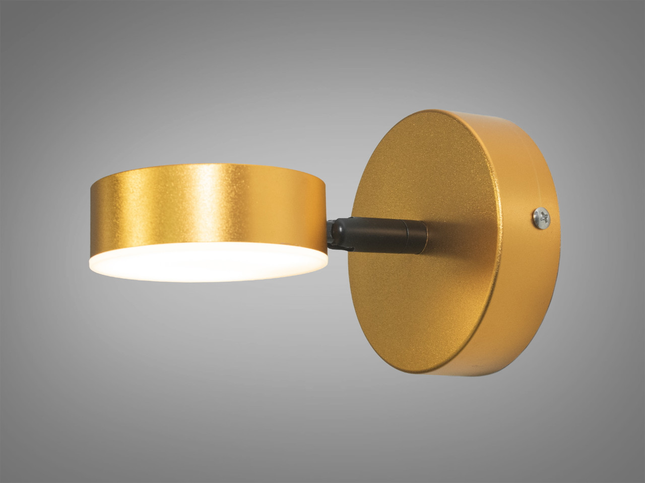 Підсвічування для дзеркал і картин LED Diasha 051/1, 3W, 3200K-6000K, металеве, поворотне, IP20, 10 см, 165 лм