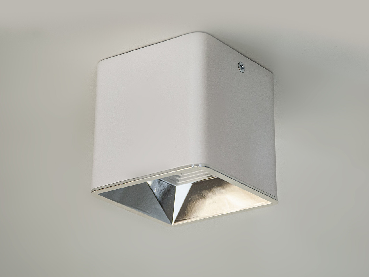 Світильник накладний точковий LED Diasha 116S-90-WH+SL, 10W, білий, для коридору, вітальні, спальні Світильник накладний точковий LED Diasha 116S-90-WH+SL, 10W, білий, для коридору, вітальні, спальні