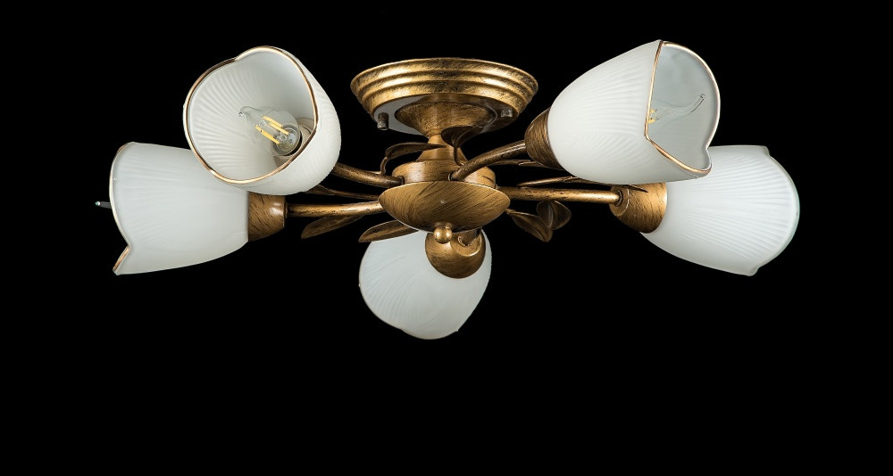 Люстра стельова Splendid Ray L88497/5, E14, 5 ламп, 26 см, бронза, білий, сучасний стиль Люстра стельова Splendid Ray L88497/5, E14, 5 ламп, 26 см, бронза, білий, сучасний стиль