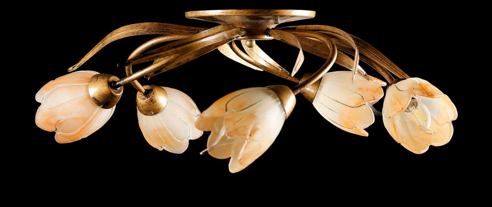 Люстра стельова Splendid Ray L90807F/5, E14, 5 ламп, бронзова, метал, сучасний стиль