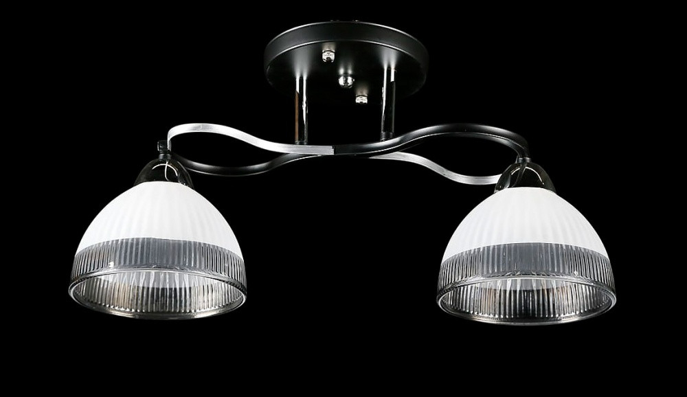 Люстра стельова Splendid Ray L8258/2, 2xE27, чорний/хром, висота 23 см, діаметр 45 см, сучасний стиль для дому Люстра стельова Splendid Ray L8258/2, 2xE27, чорний/хром, висота 23 см, діаметр 45 см, сучасний стиль для дому