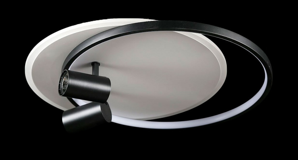 Люстра стельова LED Splendid Ray L2451/480/2+2, 4 лампи, 56 см, чорний та білий, сучасний стиль, з пультом, димер Люстра стельова LED Splendid Ray L2451/480/2+2, 4 лампи, 56 см, чорний та білий, сучасний стиль, з пультом, димер